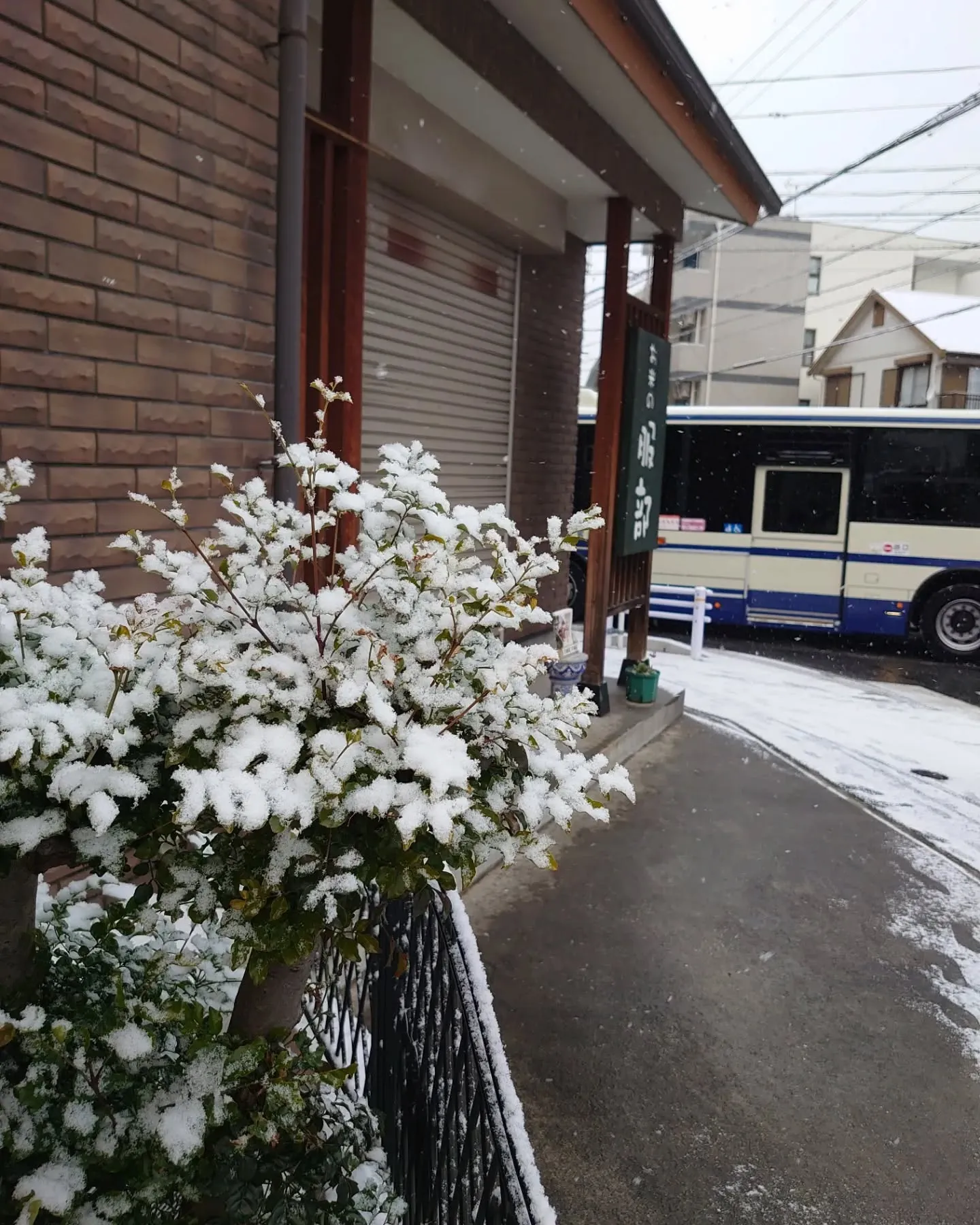 名古屋は午前中で雪は