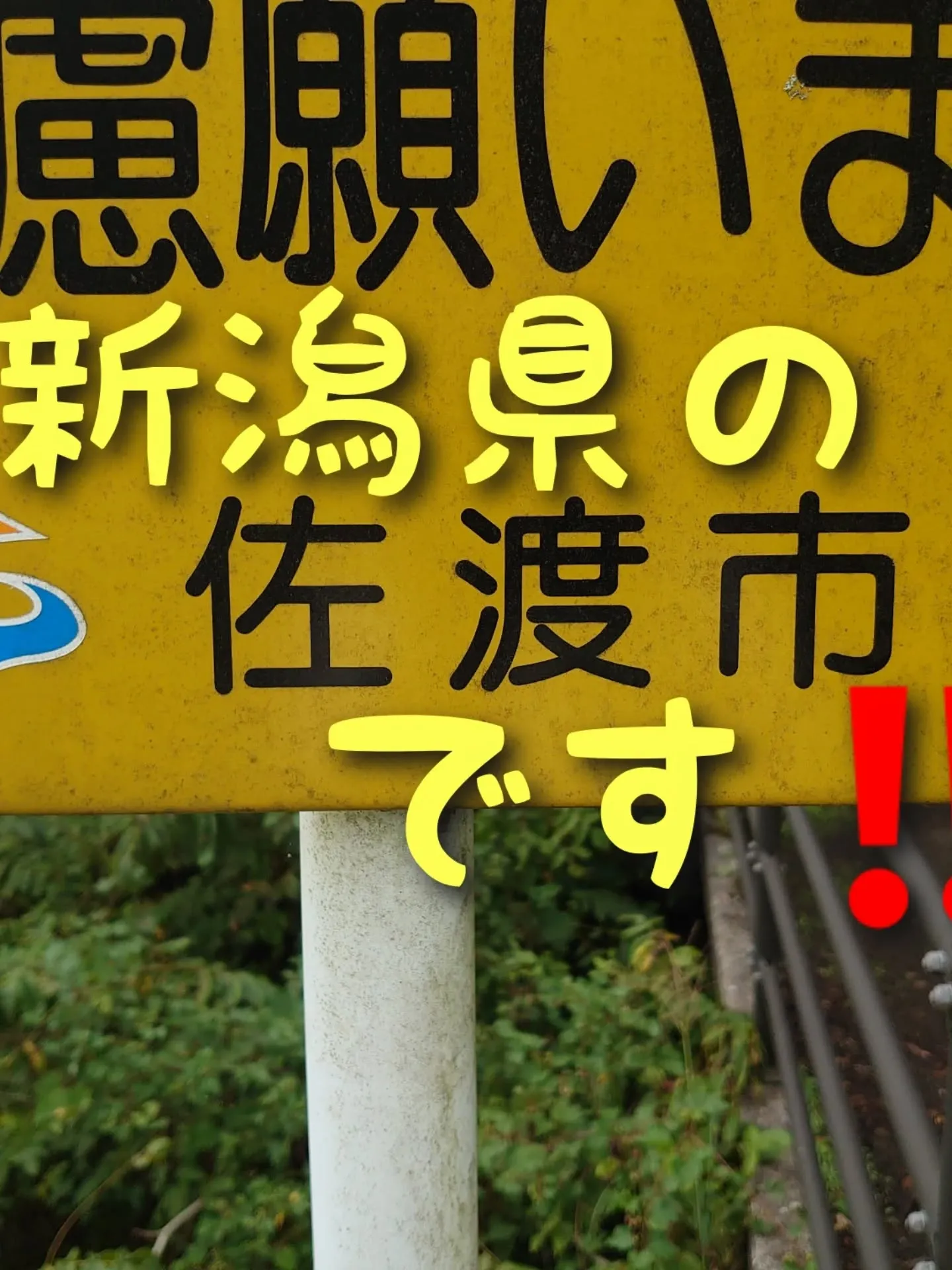 9/29(月) 今回初めて