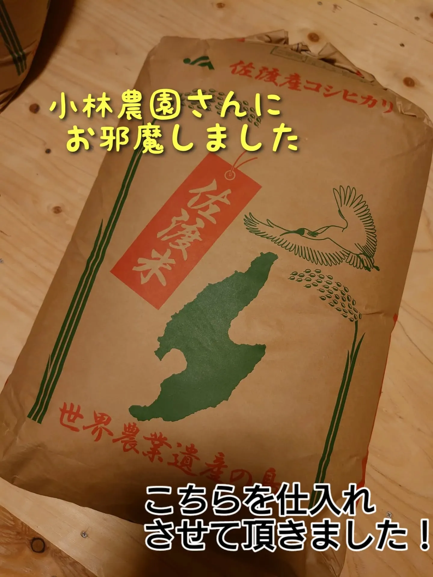 9/29(月) 今回初めて