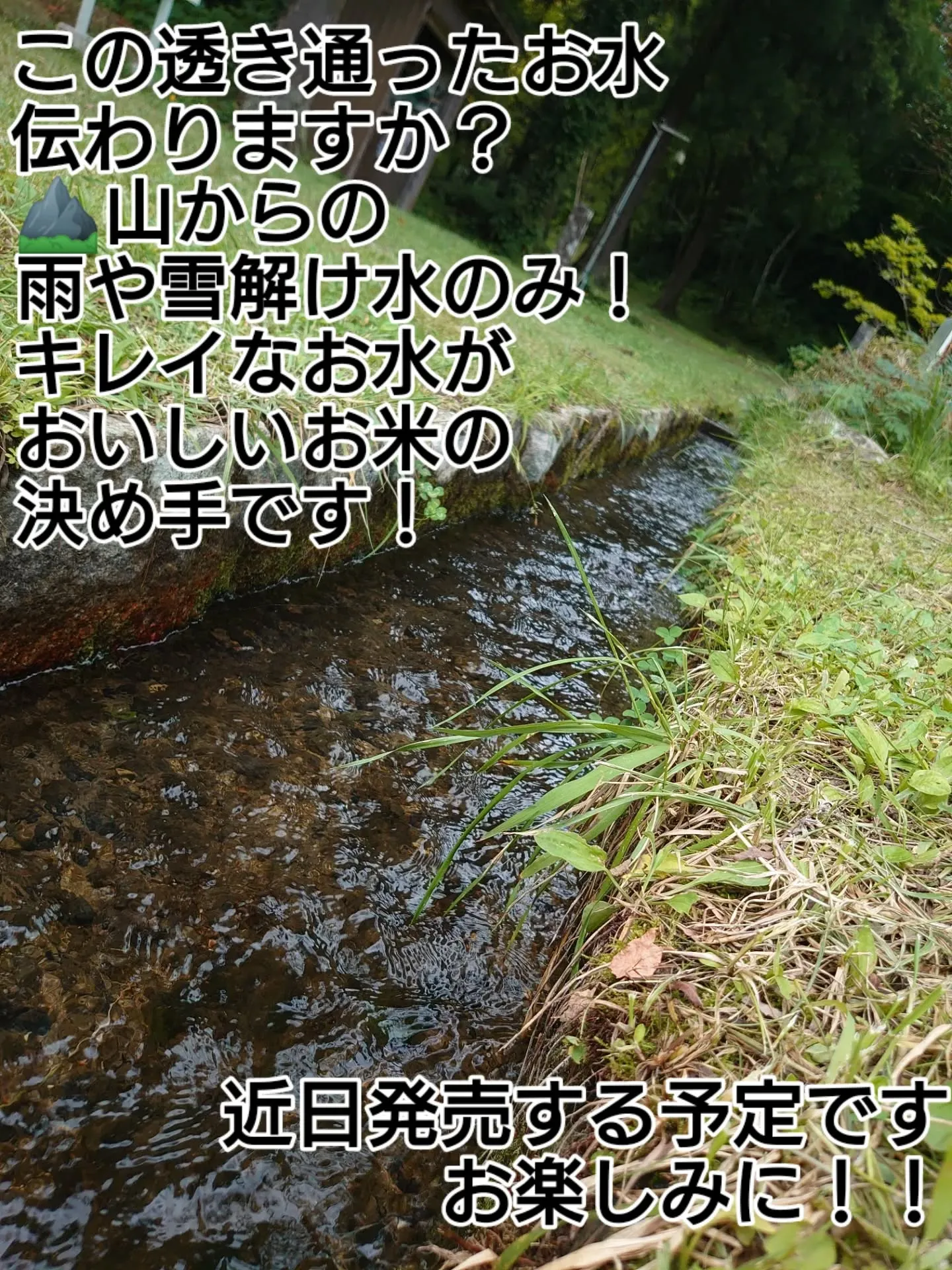 9/29(月) 今回初めて