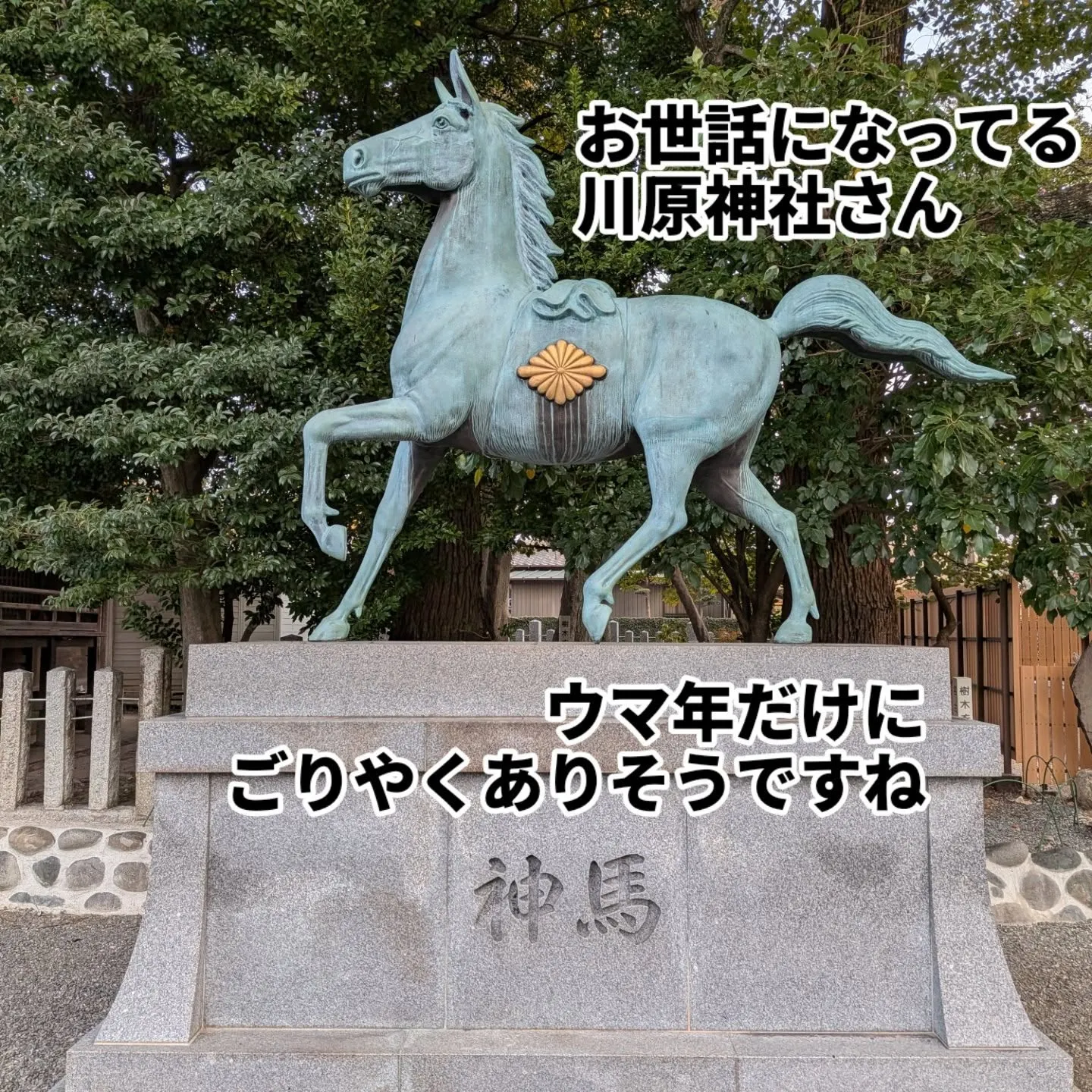 今年はウマ年🏇