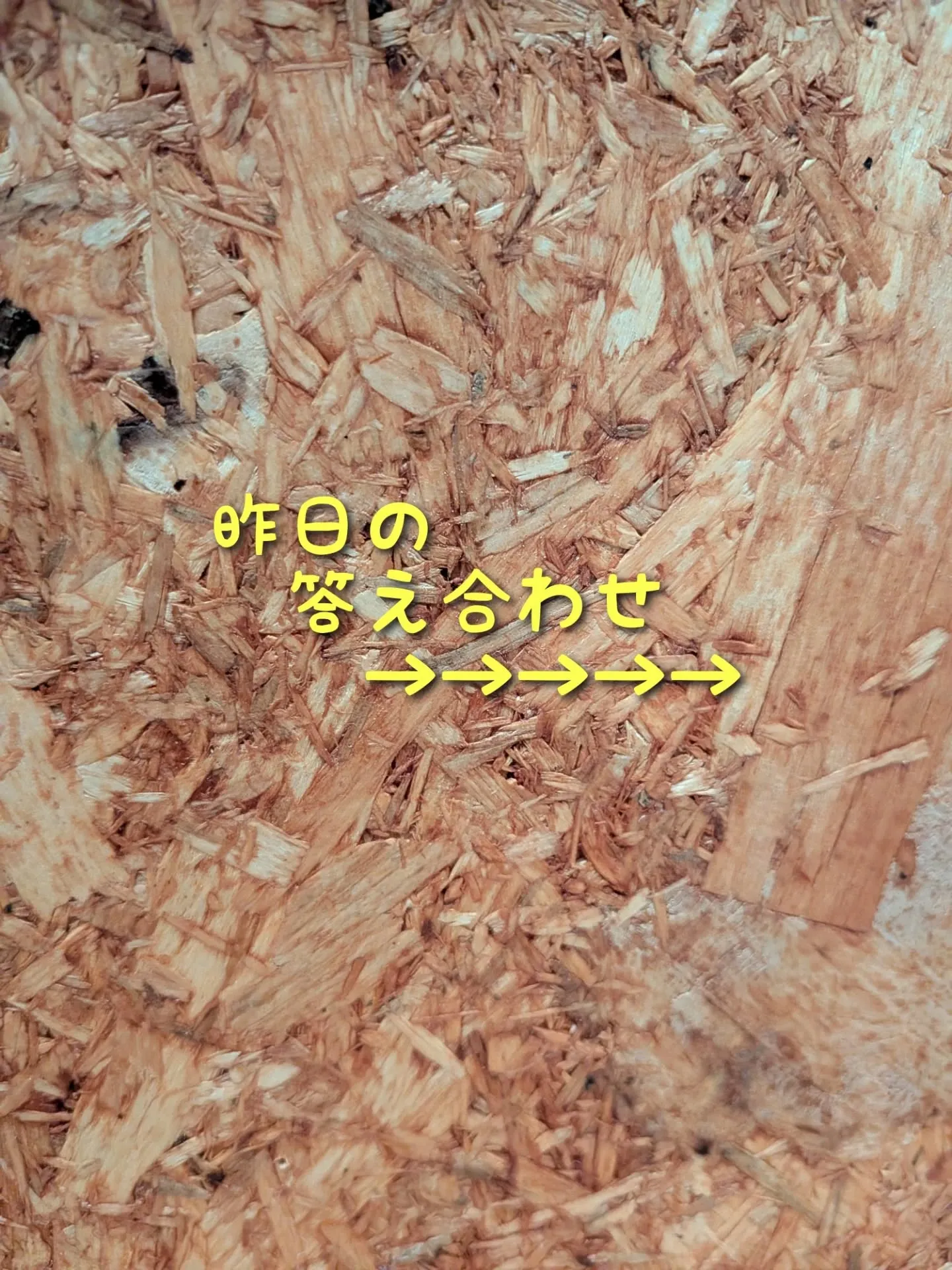 昨日のクイズ🎤