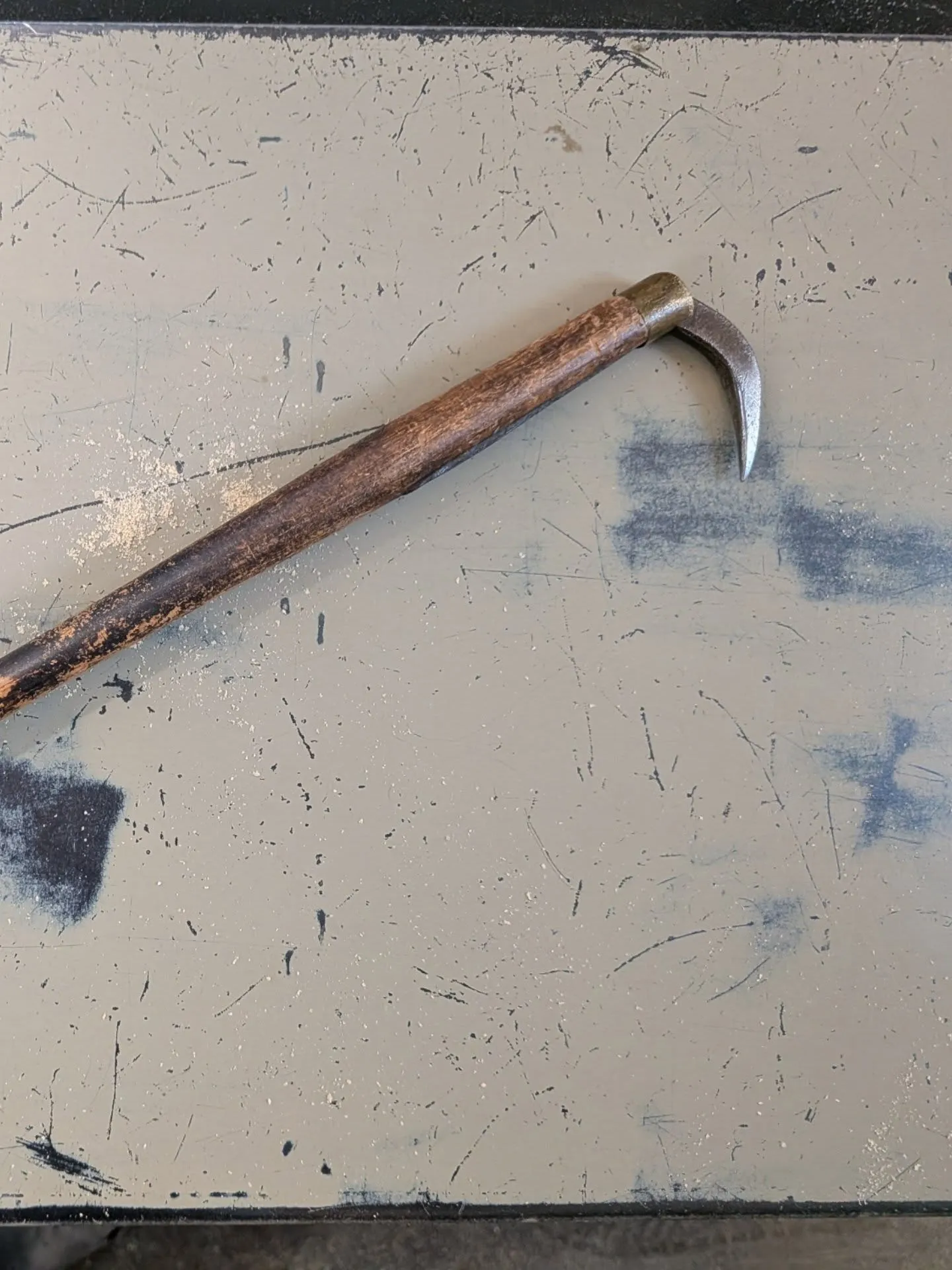 昨日のクイズ🎤