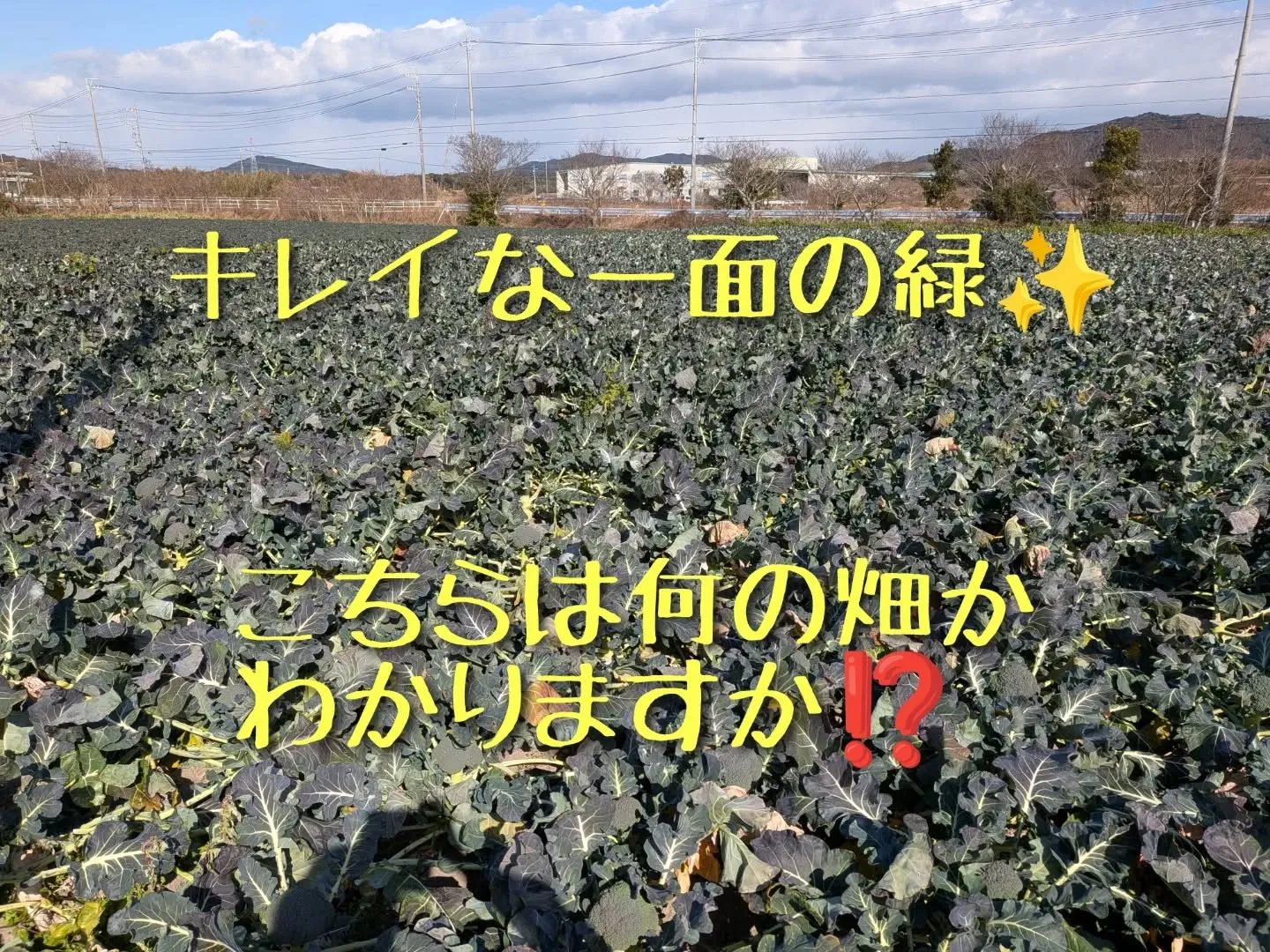 昨日はお世話になってる