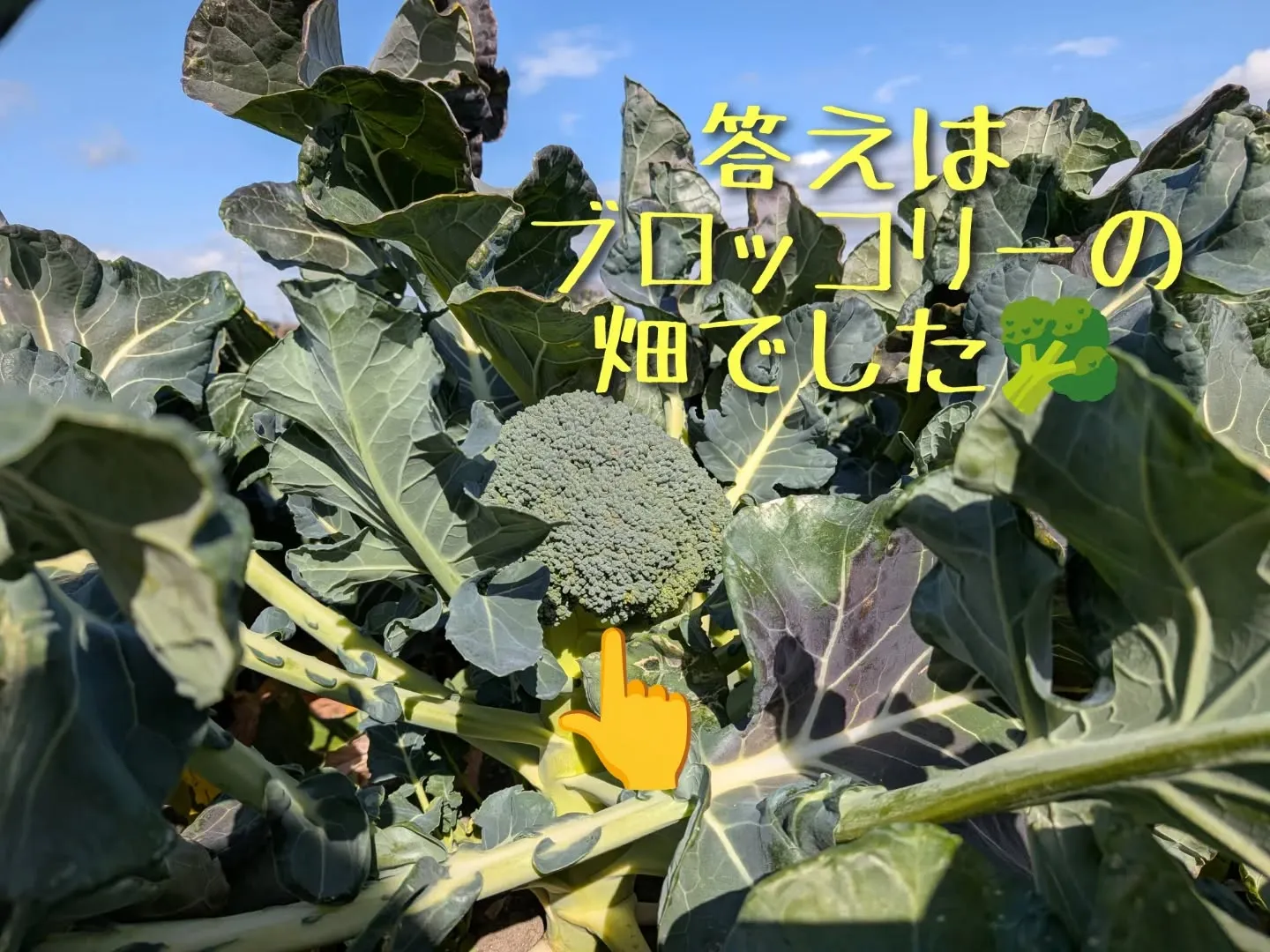 昨日はお世話になってる