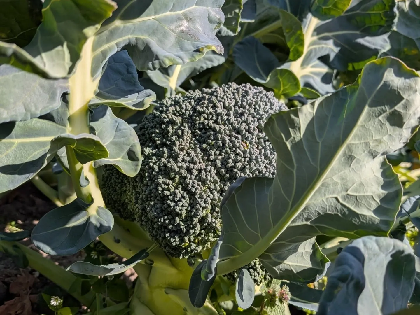 昨日はお世話になってる