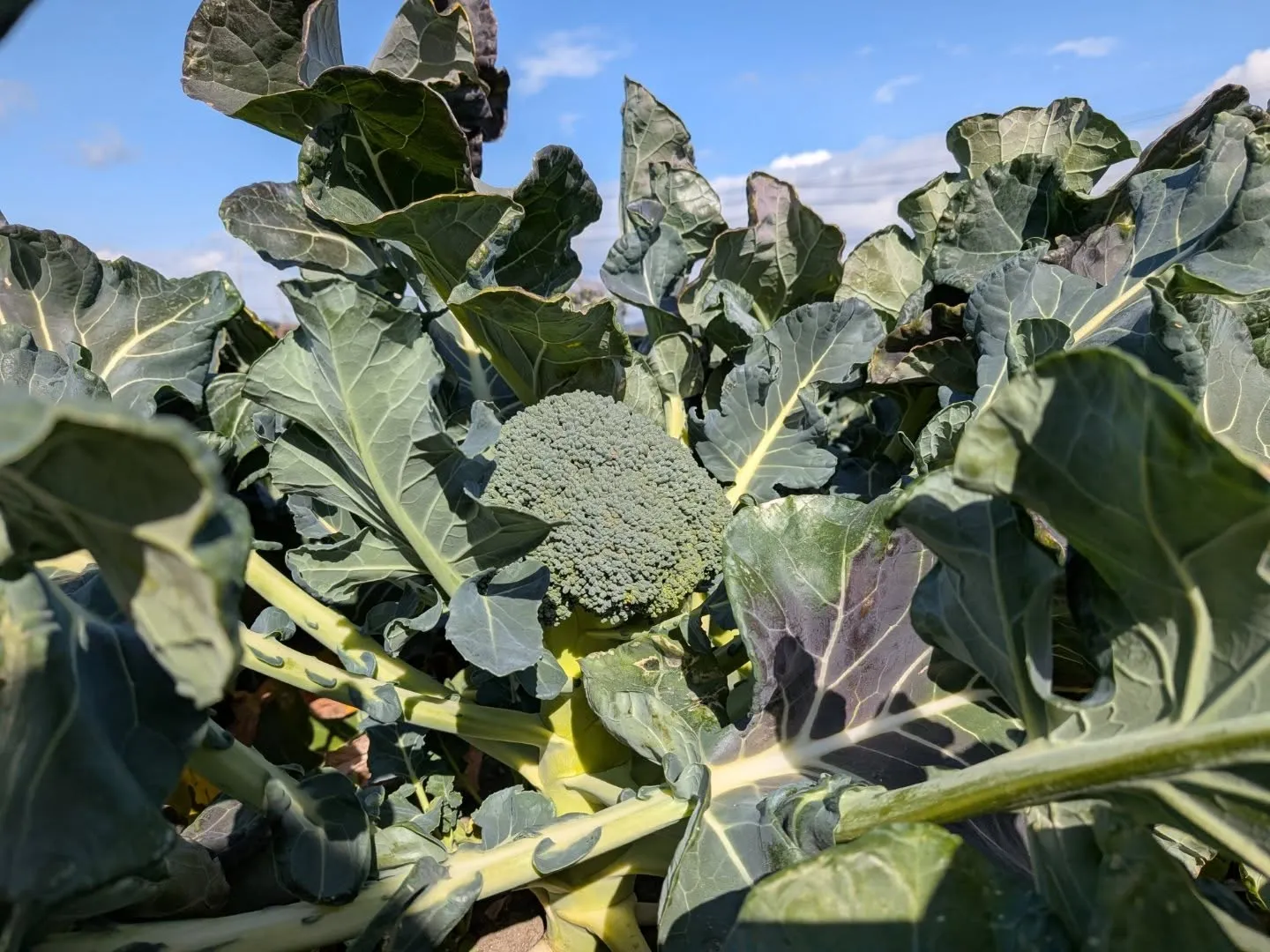 昨日はお世話になってる