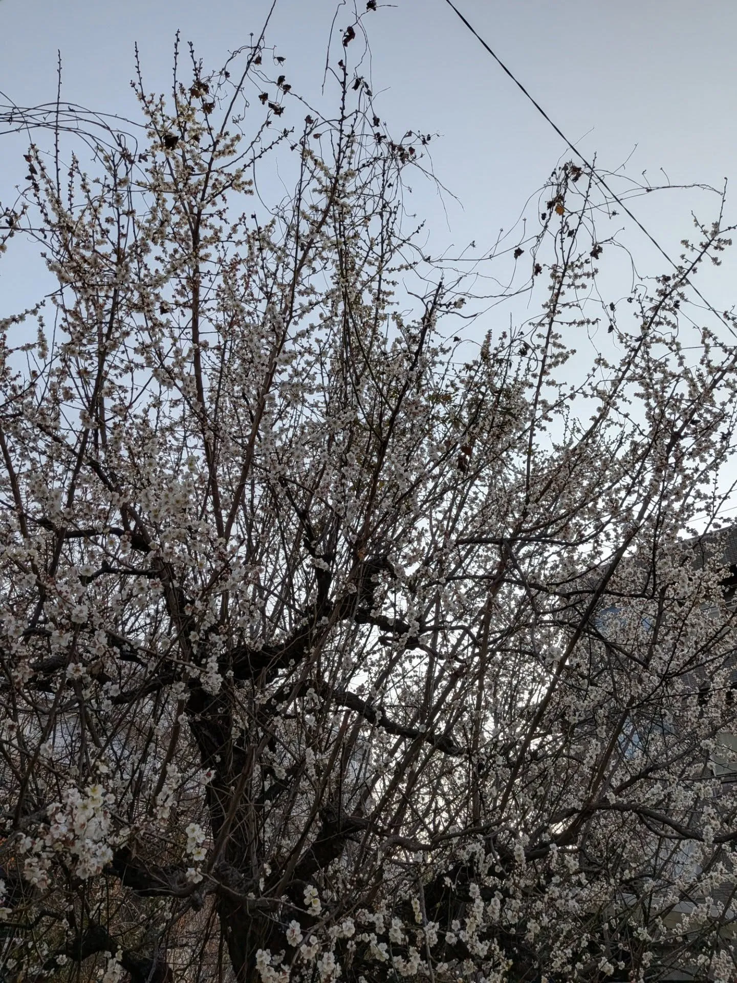 店主の自宅近くで