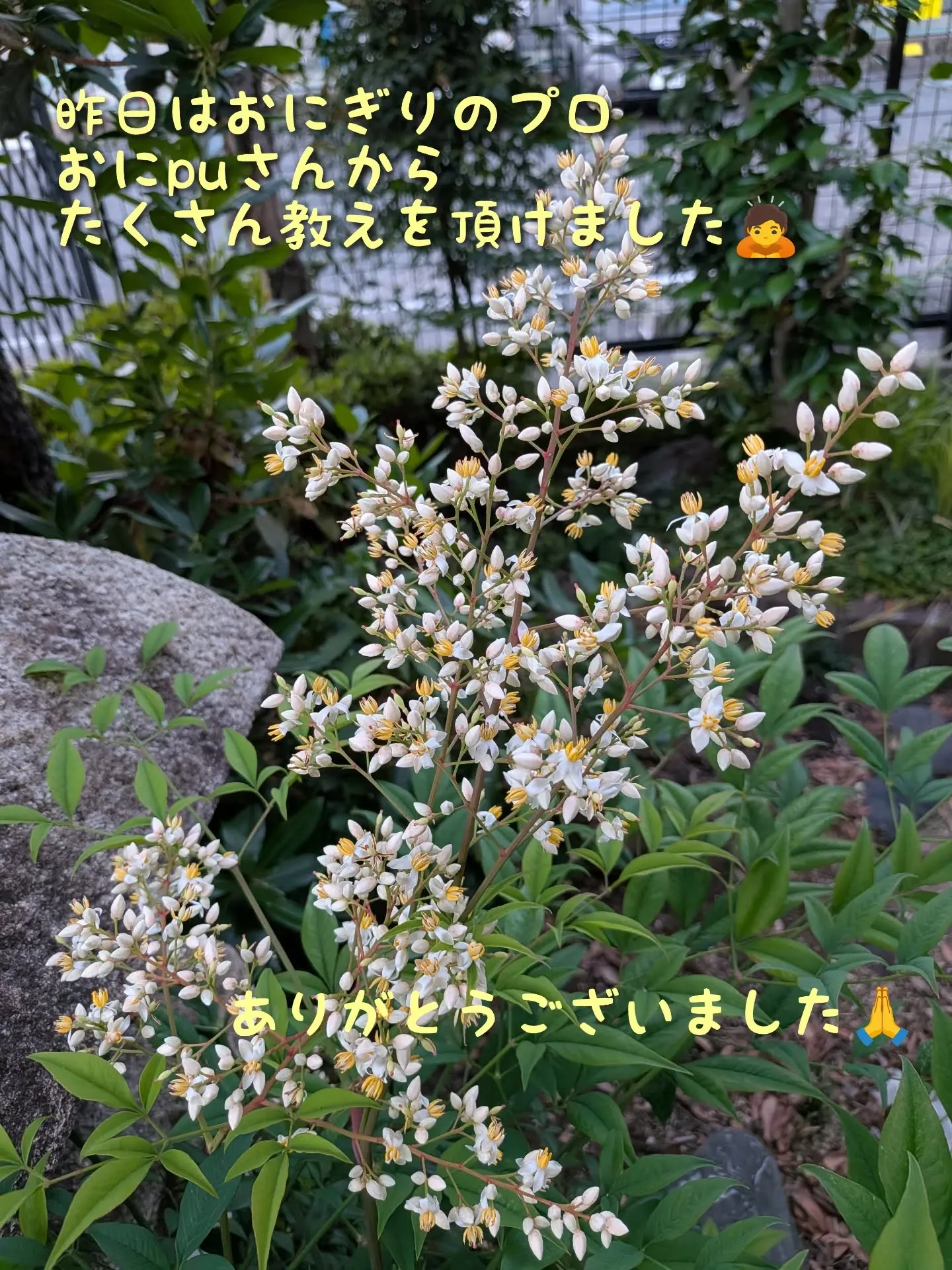 まだまだおにぎり修行中‼️