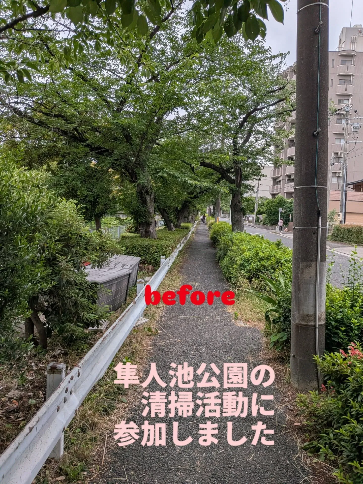 今日は朝から
