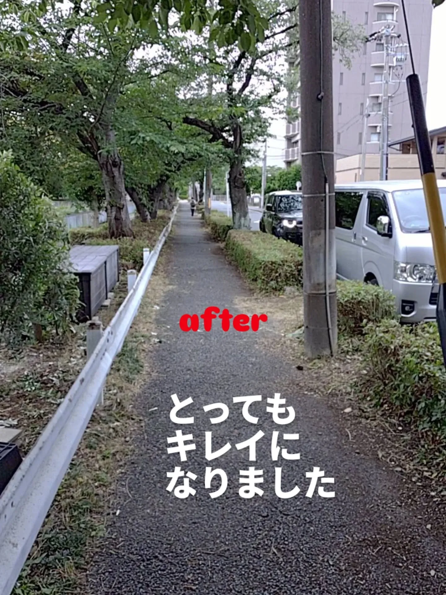 今日は朝から