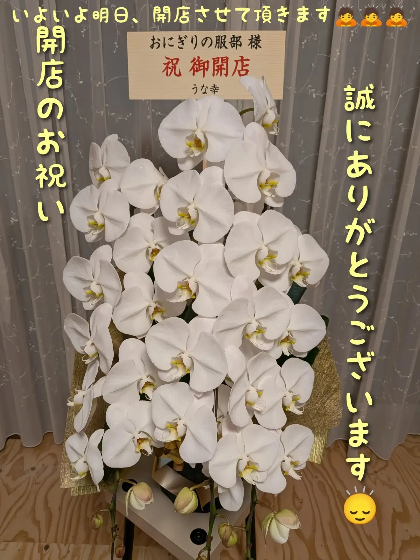 とうとう明日6/20(土)11時〜