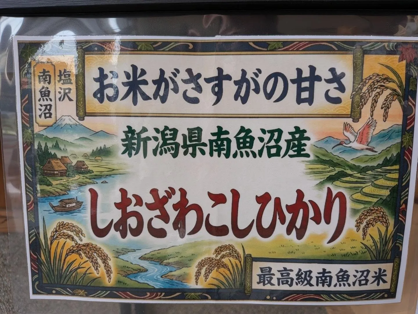 おはようございます☀